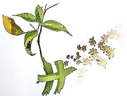 Ministerio de la escucha